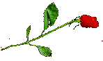 rosebleed.gif